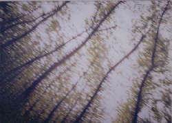 Luigi Presicce, dittico