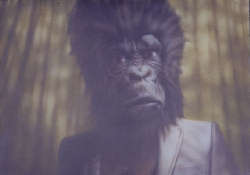 Luigi Presicce Introverso 2002 cm 88x125 acrilico su tessuto