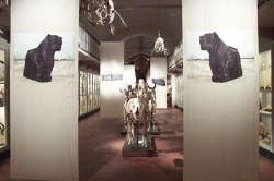 Margherita Verdi - Hic sunt leones