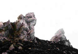 antonio rovaldi_ non ricordo esattamente quando