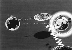 Larcher - monografie elettroniche