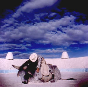 Roma, tutto il Cremaster Cycle in piazza durante la Notte Bianca