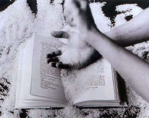 Montenegro, Giovanna: "Cities of the plain", silver gelatin print, cm. 82x93