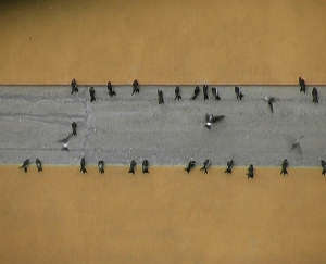 sabrina mezzaqui - rondini 