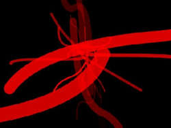 OTOLAB quartetto light