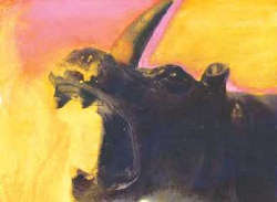 Daniele Girardi x-farm