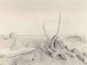 Dominique Bollinger - bois pierre et sable