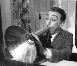 scomunicati, la gallerista Rosa Anna Mosumeci fa campagna elettorale via email!