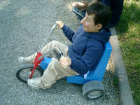 Maurizio Cattelan - Charlie