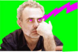 Il sito di Francesco Bonami? No, un’opera di Miltos Manetas