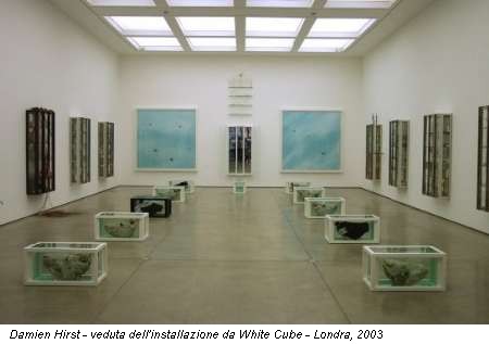 Damien Hirst - veduta dell'installazione da White Cube - Londra, 2003