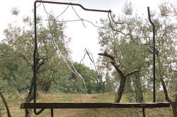 Toscana, nasce a Scandicci un Parco Museo d’Arte Ambientale