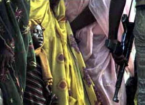 Mauro Galligani Ciad 1986