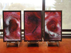 Ars Electronica 2003 - MicroImage di Casey Reas