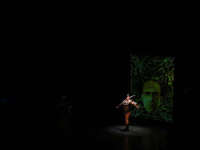 Ars Electronica 2003 - POL