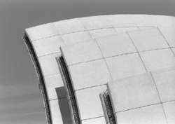 Dives in Misericordia