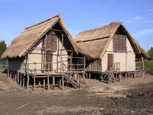 Emilia, un nuovo parco archeologico in provincia di Modena Emilia, un nuovo parco archeologico in provincia di Modena