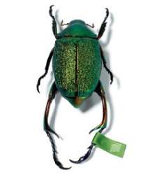 Il design contemporaneo è di scena a Berlino. Parte Designmai 2004