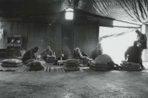 Going Public, arte pubblica a Modena