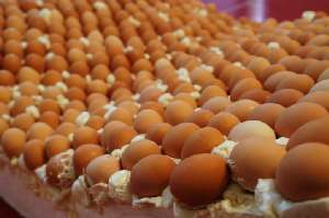 Torino, design da assaggiare al Salone del Gusto