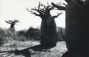 Torino, Tacita Dean vince il Premio Regione Piemonte