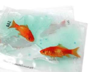 Milano, una giornata al Politecnico per parlare di design