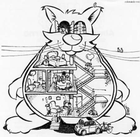 Claudio Bandoli_Casagatto