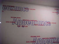 Dal 27.I.2000 al 26.III.2000 | Apparence | Bologna, Galleria d’Arte Moderna