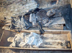 Analizzate definitivamente le mummie del Santa Maria della Scala