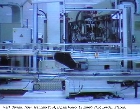 Mark Curran, Tiger, Gennaio 2004, Digital Video, 12 minuti, (HP, Leixlip, Irlanda)