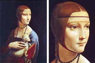 Firenze: | Leonardo da Vinci: «Dama dell’ermellino»