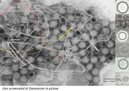 Uno screenshot di Genomixer in azione