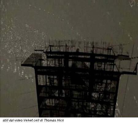 still dal video Velvet cell di Thomas Hick