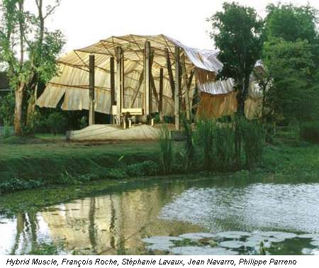 Hybrid Muscle, François Roche, Stéphanie Lavaux, Jean Navarro, Philippe Parreno