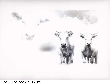 Tea Giobbio, Stranieri dal cielo