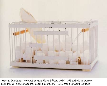 Marcel Duchamp, Why not sneeze Rose Sélavy, 1964 - 152 cubetti di marmo, termometro, osso di seppia, gabbia da uccelli - Collezione Luisella Zignone