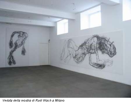 Veduta della mostra di Rudi Wach a Milano