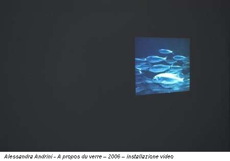 Alessandra Andrini - A propos du verre – 2006 – installazione video