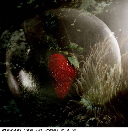 Brunella Longo - Fragola - 2006 - lightboxes - cm 126x126