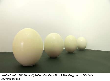 Moio&Sivelli, Still life in it!, 2006 - Courtesy Moio&Sivelli e galleria Blindarte contemporanea