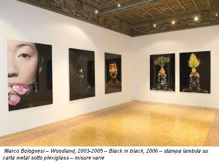 Marco Bolognesi – Woodland, 2003-2005 – Black in black, 2006 – stampa lambda su carta metal sotto plexiglass – misure varie