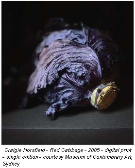 Craigie Horsfield - Red Cabbage - 2005 - digital print - single edition - courtesy Museum of Contemprary Art, Sydney