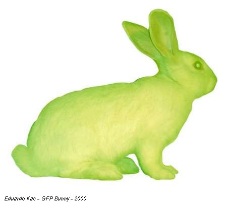Eduardo Kac - GFP Bunny - 2000