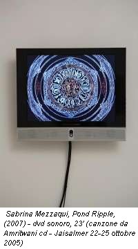 Sabrina Mezzaqui, Pond Ripple, (2007) - dvd sonoro, 23