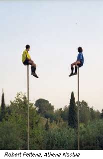 Robert Pettena, Athena Noctua