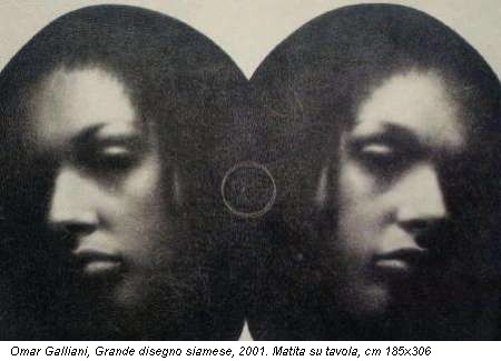 Omar Galliani, Grande disegno siamese, 2001. Matita su tavola, cm 185x306
