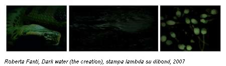 Roberta Fanti, Dark water (the creation), stampa lambda su dibond, 2007