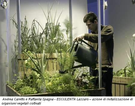 Andrea Caretto e Raffaella Spagna - ESCULENTA Lazzaro – azione di rivitalizzazione di organismi vegetali coltivati