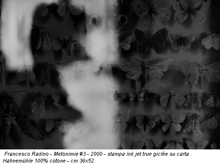 Francesco Radino - Metonimie #3 - 2000 - stampa ink jet true giclée su carta Hahnemuehle 100% cotone - cm 36x52