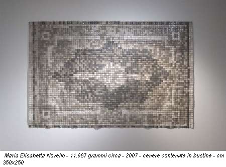 Maria Elisabetta Novello - 11.687 grammi circa - 2007 - cenere contenute in bustine - cm 350x250